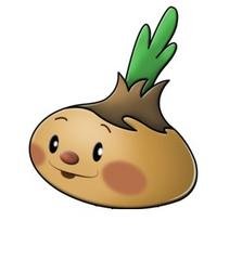 Лучок Чиполлино