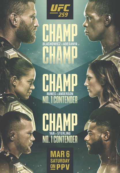 UFC 265 poster