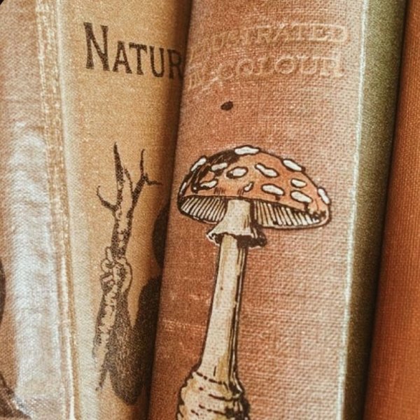 Обои в стиле Goblincore aesthetic