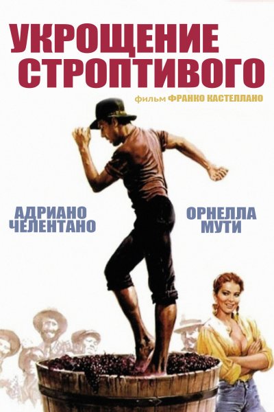 Постер к фильму Укрощение строптивого