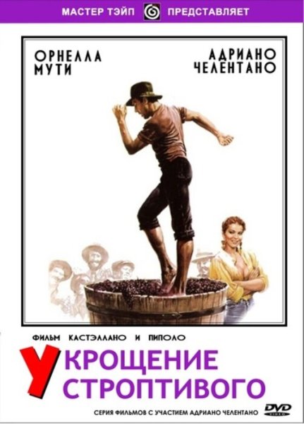 Укрощение строптивого афиша фильма