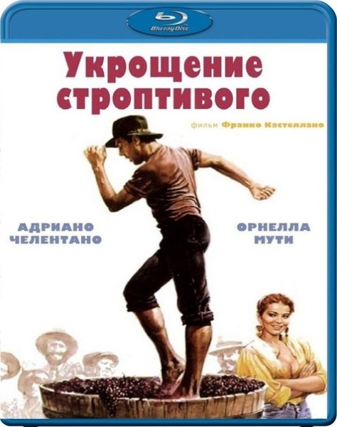 Укрощение строптивого афиша фильма