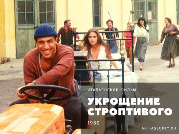 Постер к фильму Укрощение строптивого