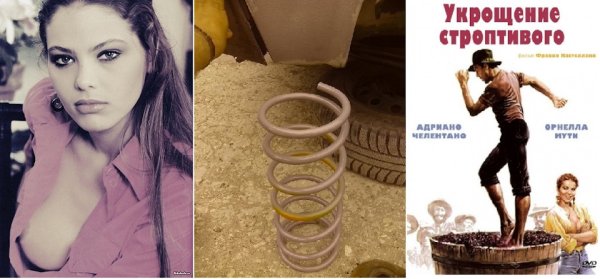 Укрощение строптивого il bisbetico domato (1980)