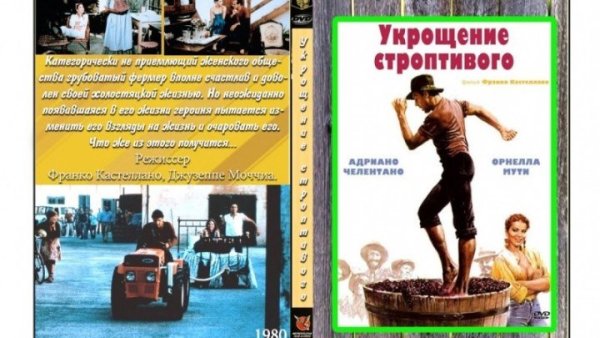 Укрощение строптивого фильм 1980 Постер