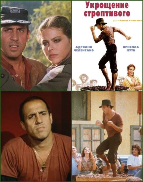 Укрощение строптивого il bisbetico domato (1980)