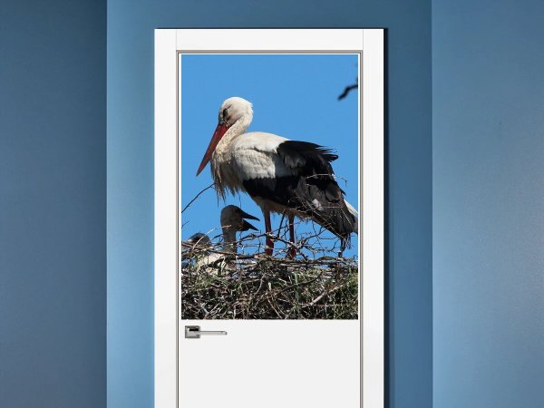 Аисты Постер