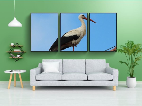 Аисты Постер