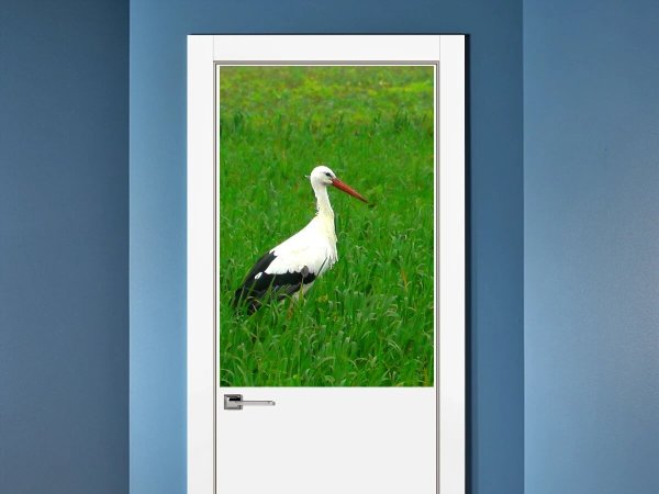 Красивый Аист