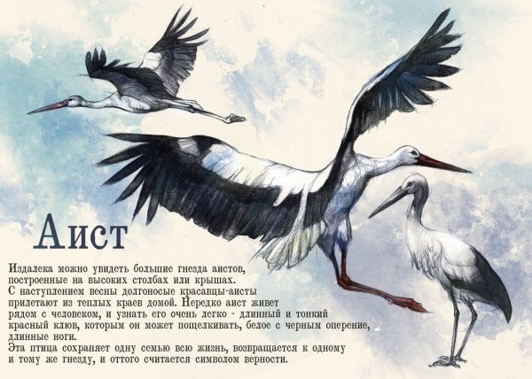 Аист с конвертом