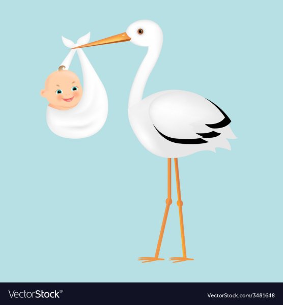 Художник Бессонов Сергей Аисты