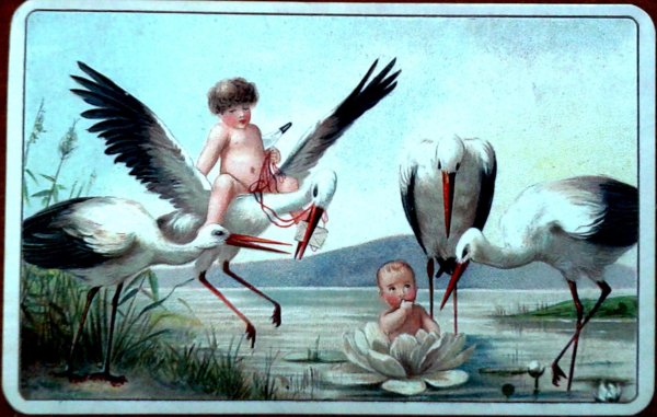 Аист мистика