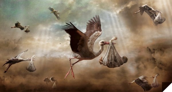 Женщина отбивается от аиста