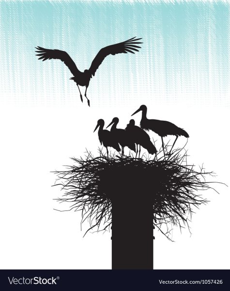 Плакат с аистом выписка из роддома