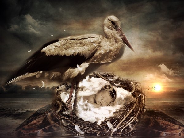 Трио в перьях (2016) Richard the Stork