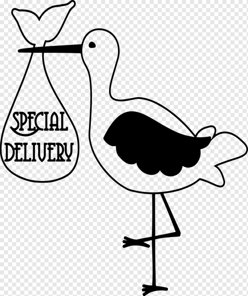 Пара аистов