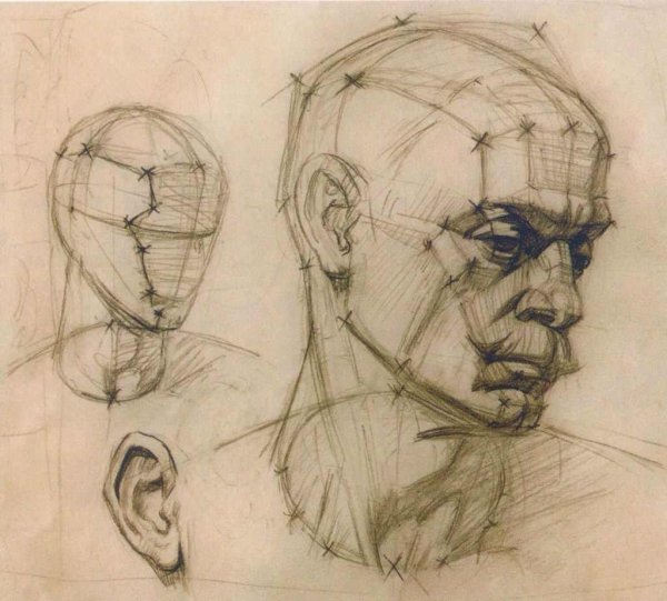 Анатомия черепа Рыжкин