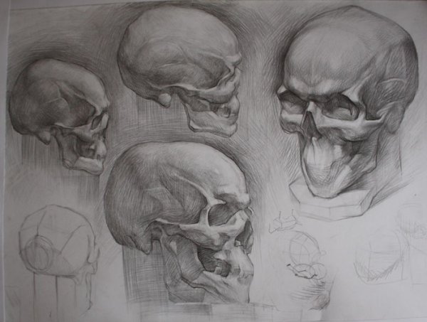 Баммес Экорше Гудона