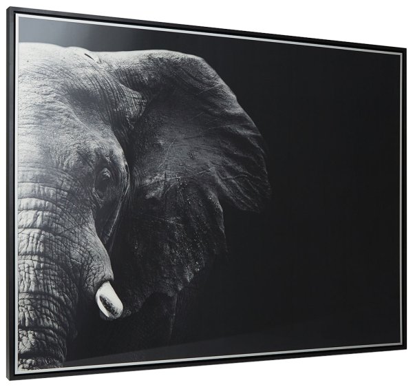 Картина слон хофф