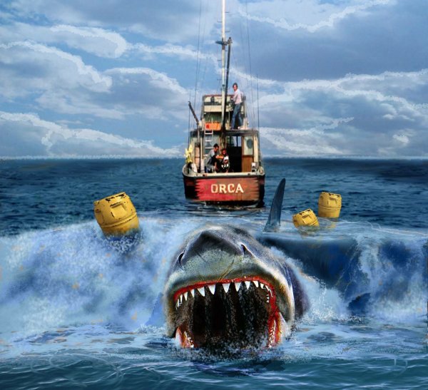 Jaws 1975 Art