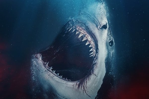 Рекуин фильм 2022