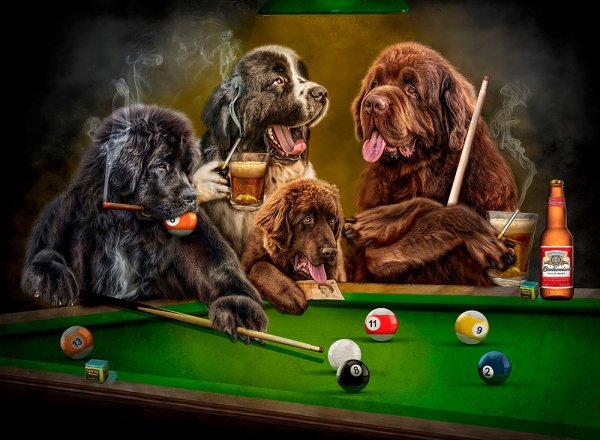 Кассиус Кулидж собаки бильярд