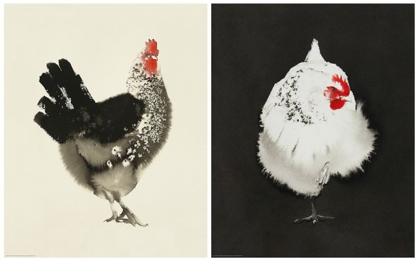 Винтажные куры