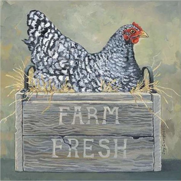 Лючия Хеффернан цыплята