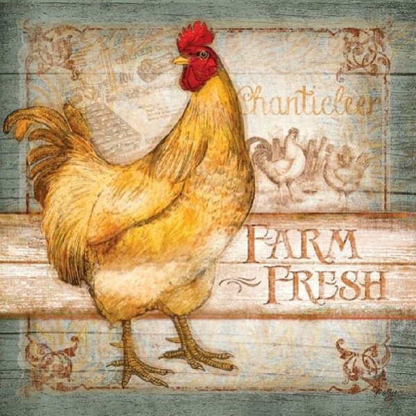 Петух живопись маслом