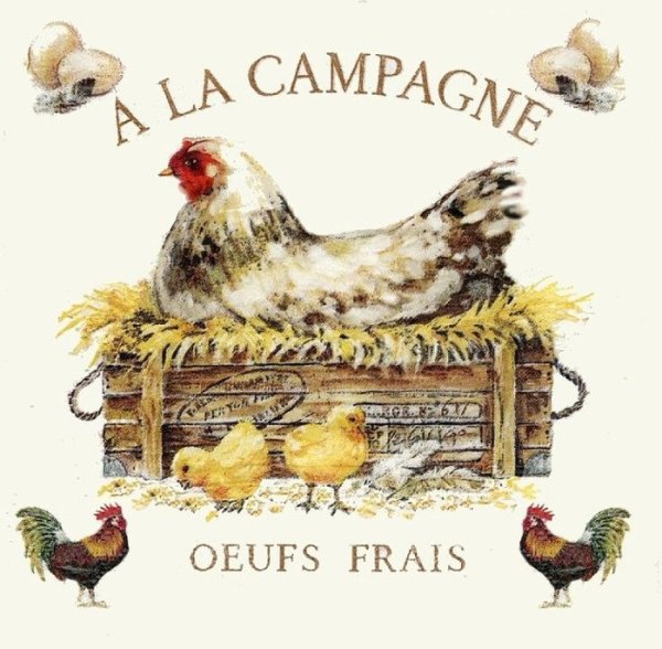 Постер курица