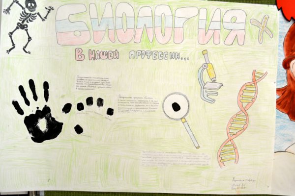 Плакат по биологии