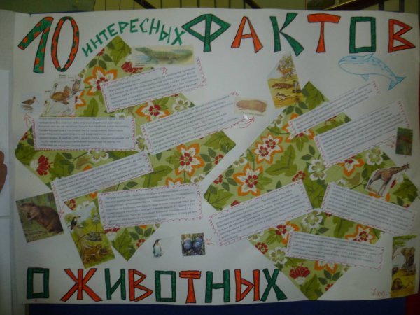 Плакат на неделю биологии