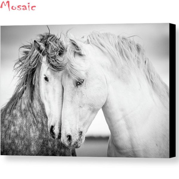 Постер лошадь