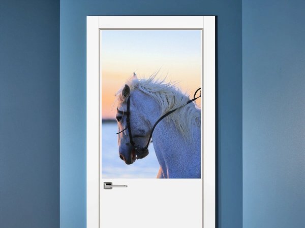 Постеры с белой лошадью белые