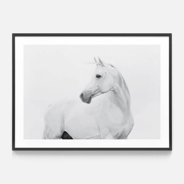 Постеры с лошадьми для интерьера