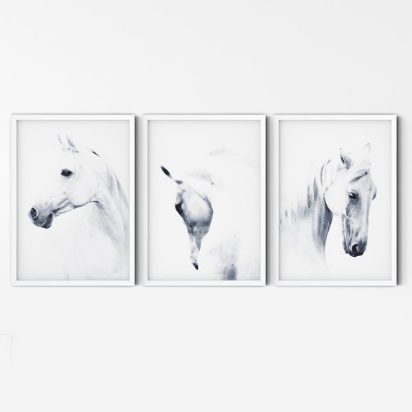 Постер лошадь черно белый