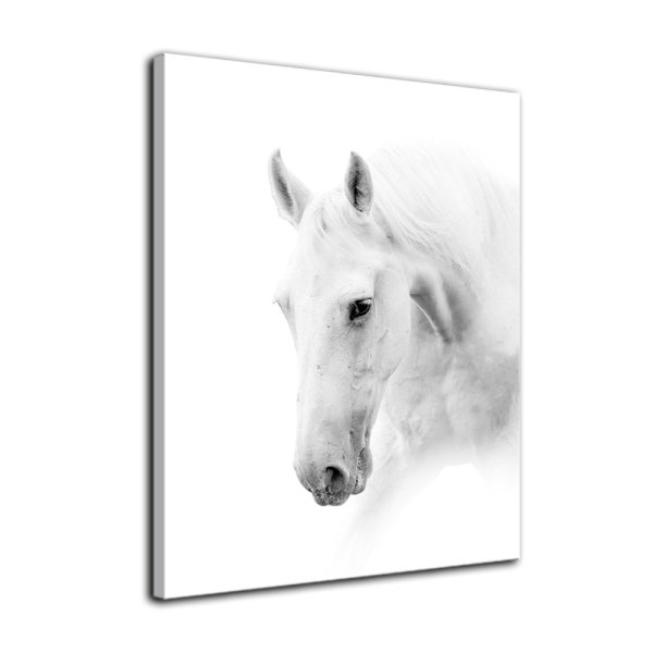 Постер лошадь