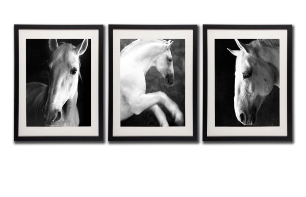 Галерея белая лошадь