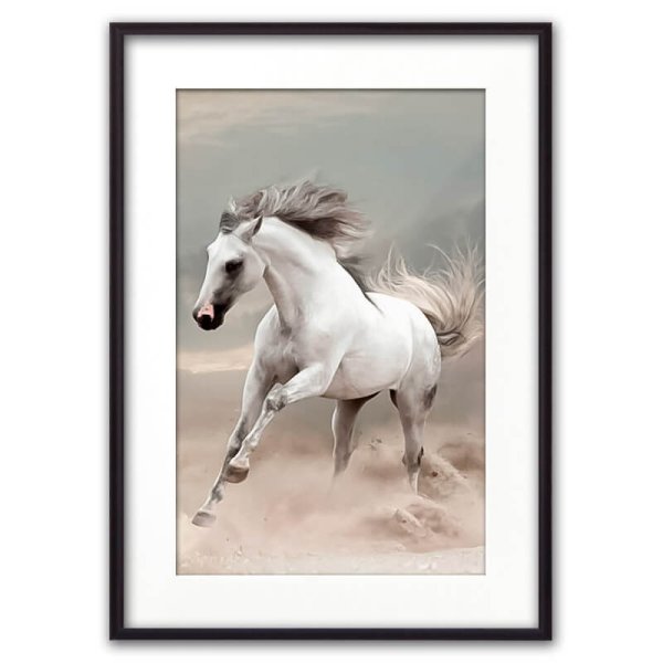 Обои лошади