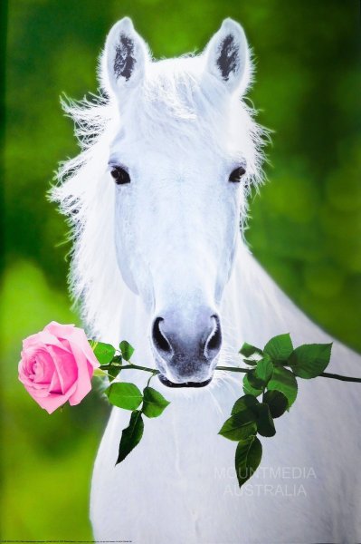 Триптих с лошадьми