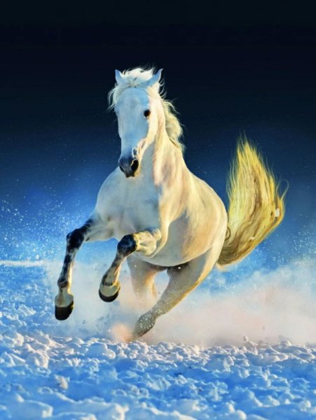 Легенда о белой лошади