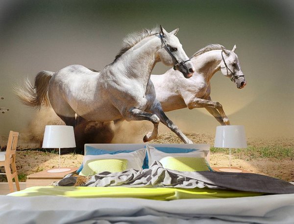 Постер лошадь