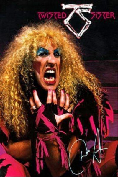 Твистер систер ди Снайдер