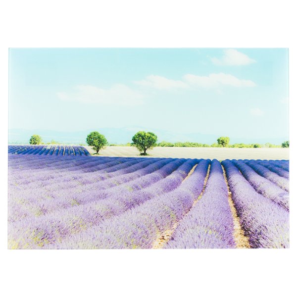 Леруа Мерлен Лаванда