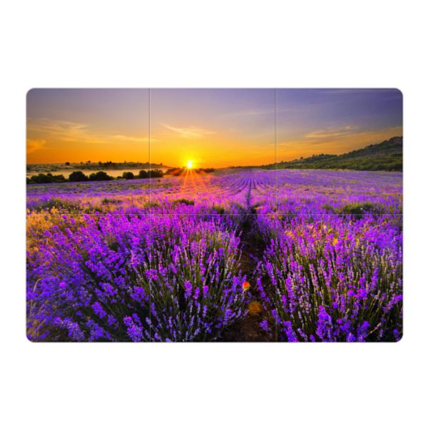 Лавандовое поле