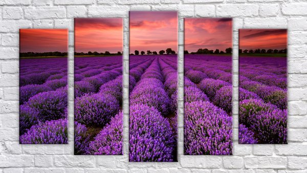 Модульная картина Лавандовое поле