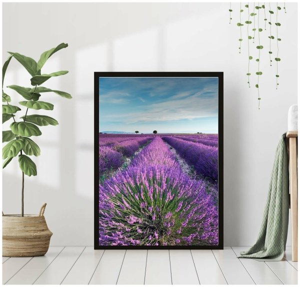 Фиолетовые постеры на стену