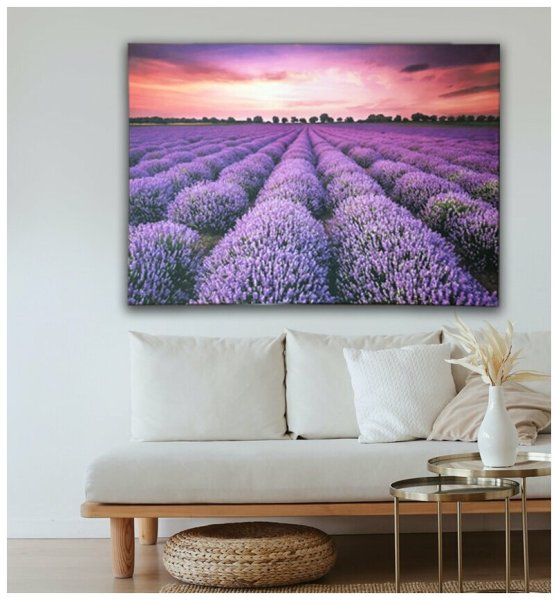 Картина на холсте Лаванда