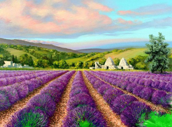 Тоскана с полями лаванды