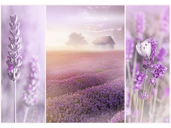 Пазл Ravensburger Лавандовые поля (15068), 1000 дет.